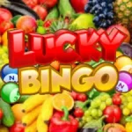 lucky bingo